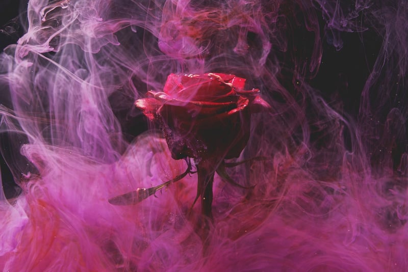 Rose Arrangement